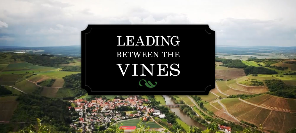Leading Between The Vines a film by Terry Theise